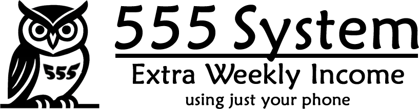 555system Logo